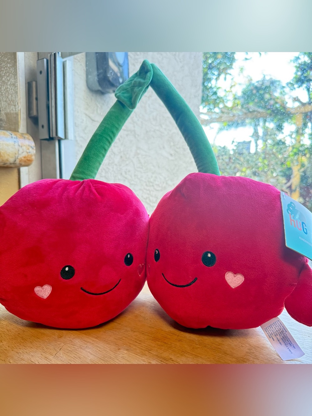 Hug Me - Kawaii Plush Cherry Twin Bag - Red with Green Stem